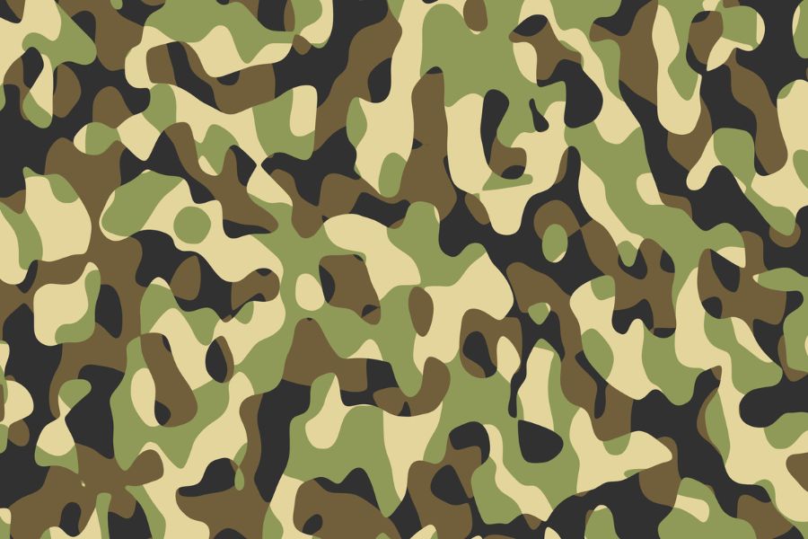 Σχολή Ευελπίδων και Προϋποθέσεις Εισαγωγής